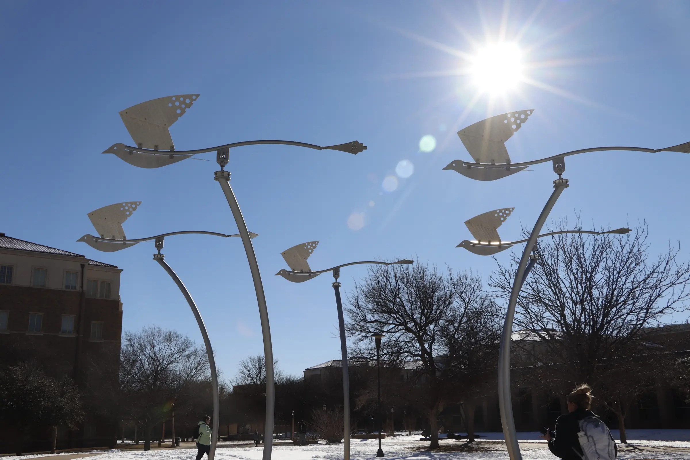Metal bird sculptures on curved poles against blue sky with sunburst, snowy campus and bare trees below