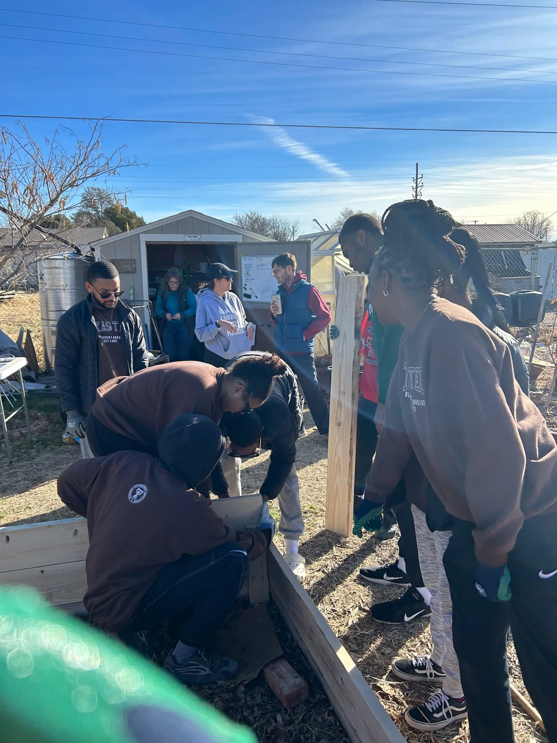 Students in brown Texas Tech sweatshirts assembling a wooden raised garden bed at a community garden by a shed